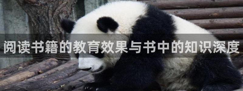 七猫小说免费版：阅读书籍的教育效果与书中的知识深度